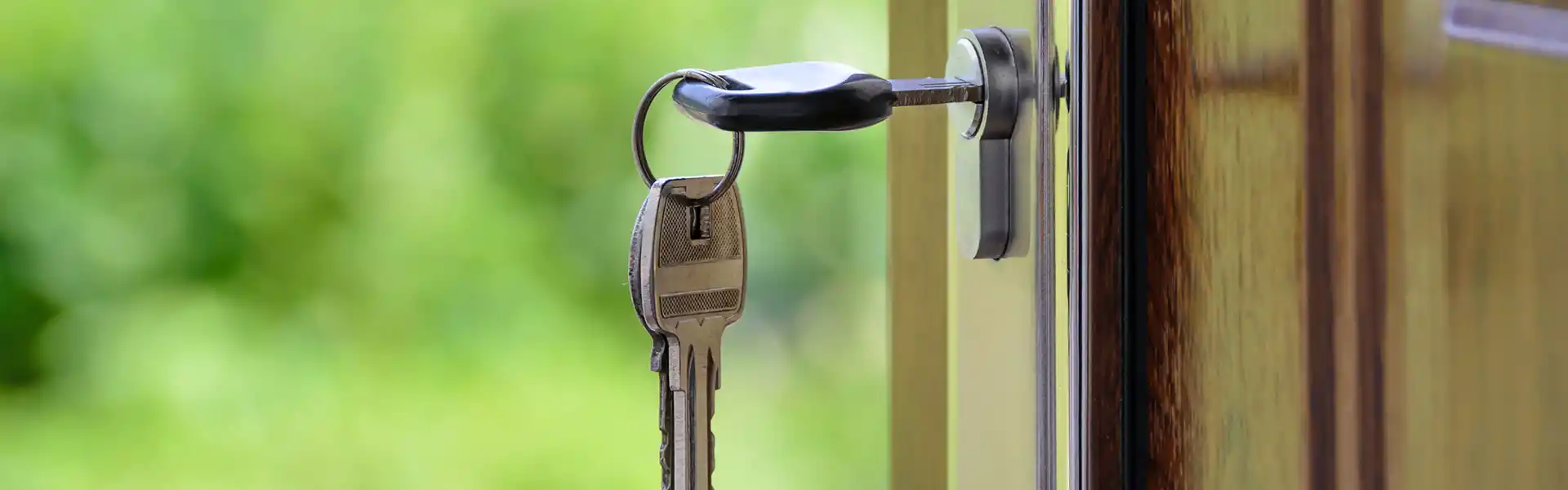 Dawn Property Consultancy Services Section Image